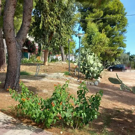 Apartment In With Wifi Vieste